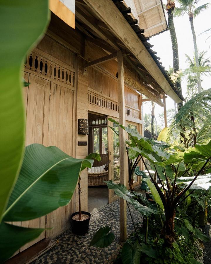 מלון Basundari Retreat Ubud מראה חיצוני תמונה