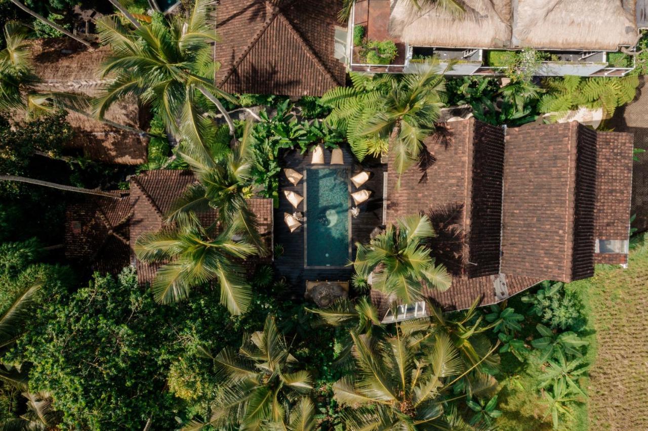 מלון Basundari Retreat Ubud מראה חיצוני תמונה